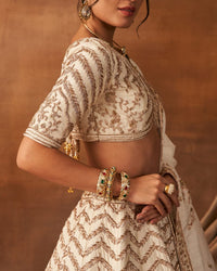 Sana Glow Lehenga set