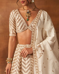 Sana Glow Lehenga set