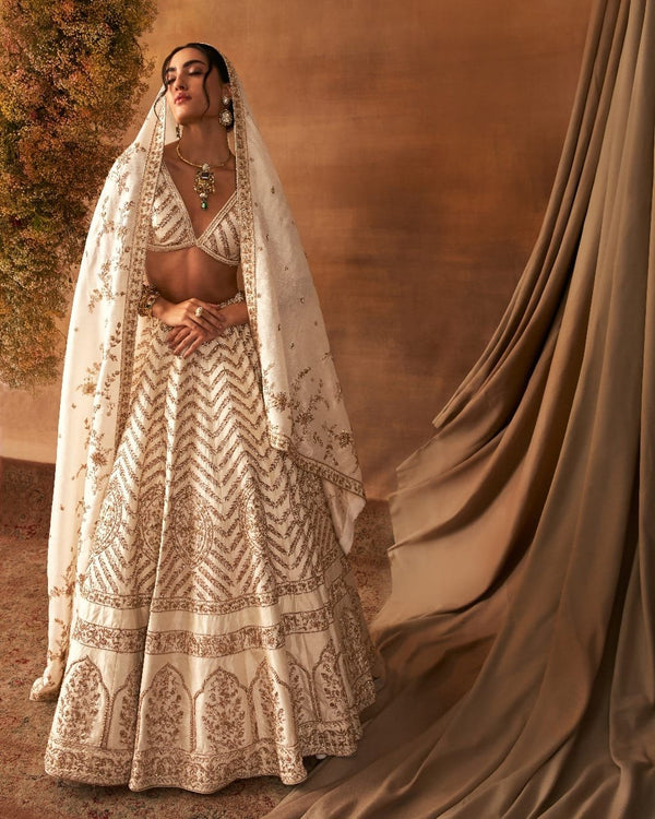 Sana Glow Lehenga set