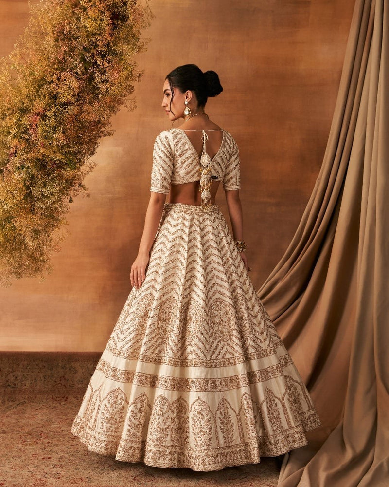 Sana Glow Lehenga set