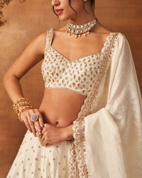 Leihao Lustre Lehenga set