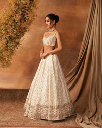 Leihao Lustre Lehenga set