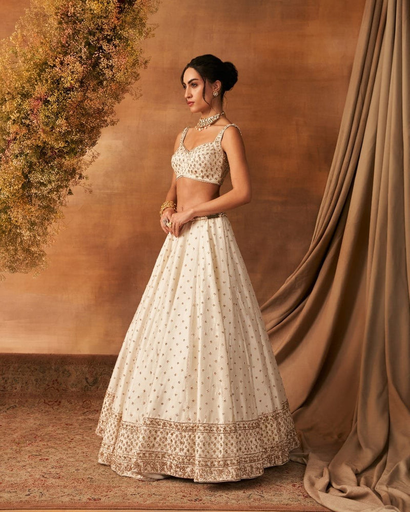 Leihao Lustre Lehenga set