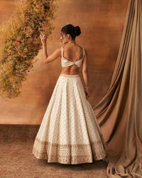 Leihao Lustre Lehenga set