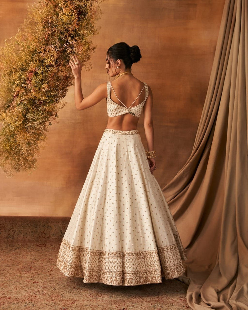 Leihao Lustre Lehenga set