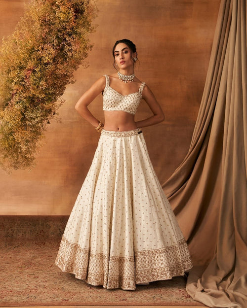 Leihao Lustre Lehenga set