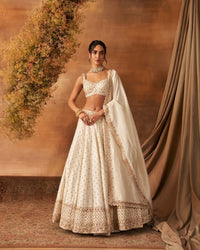 Leihao Lustre Lehenga set