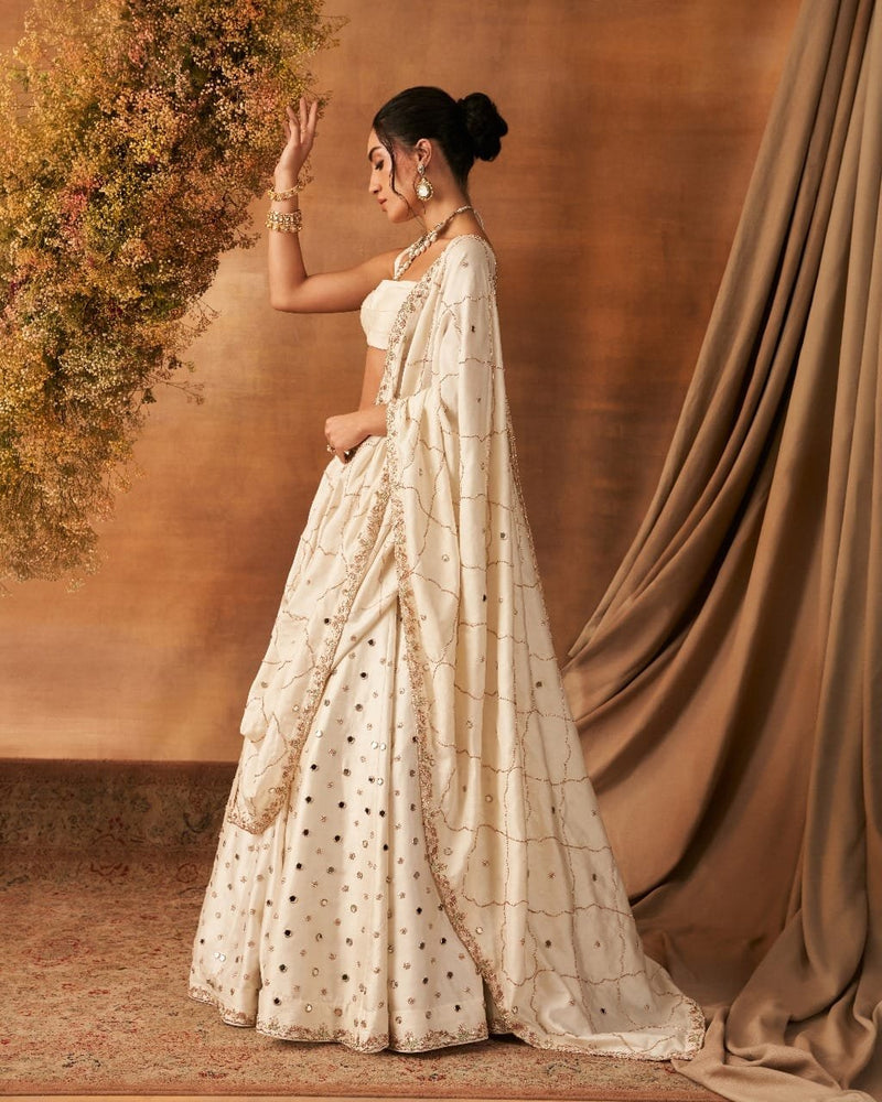 Kabok shine Lehenga set