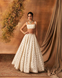 Kabok shine Lehenga set