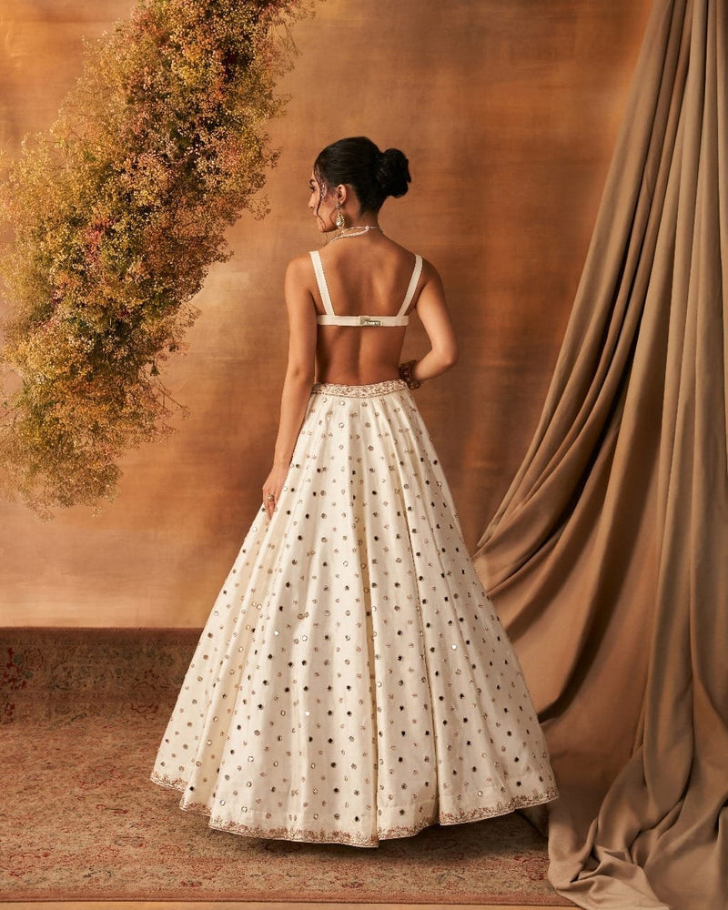 Kabok shine Lehenga set