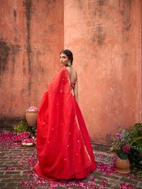 FROBIDDEN ROSE ZIYA LEHENGA SET