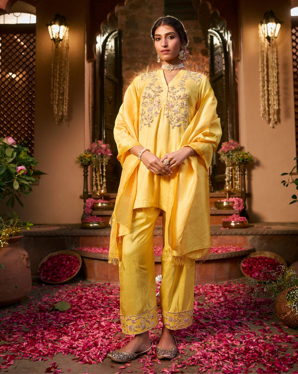 SURYA KIRAN SUIT
